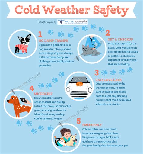 10 Cold Weather Pet Safety Tips Premier Veterinary Hospital 10 Cold Weather Pet Safety Tips Premier Veterinary Hospital