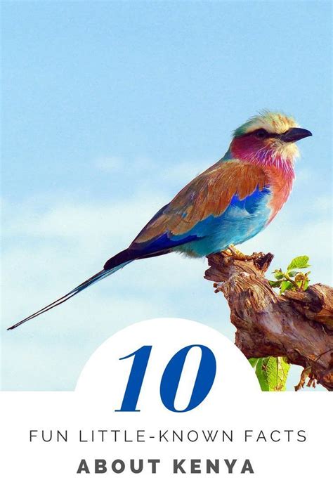 10 Fun Little Known Facts About Kenya Multicultural Kid Blogs