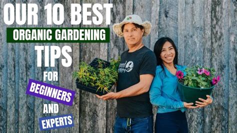 10 Organic Gardening Tips 5 For Beginners 5 Advanced Techniques