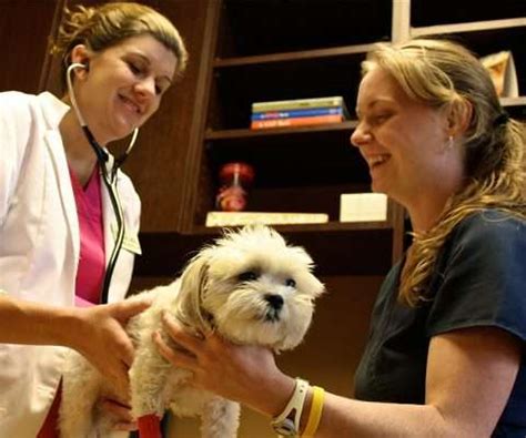 10 Tips From Dr Bryant On Veterinary Care Veterinarians In Canton Cherokee Animal Hospital Veterinary Pet Care Vet Near Me 10 Tips From Dr Bryant On Veterinary Care Veterinarians In Canton Cherokee Animal Hospital Veterinary Pet Care Vet Near Me