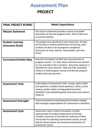 14 Free Project Assessment Plan Samples To Download