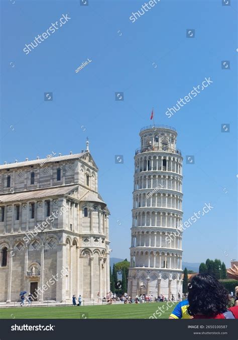 14 Ribu Ilustrasi Foto Stok Dan Gambar Acorn Hats Tanpa Royalti Shutterstock 14 Ribu Ilustrasi Foto Stok Dan Gambar Acorn Hats Tanpa Royalti Shutterstock