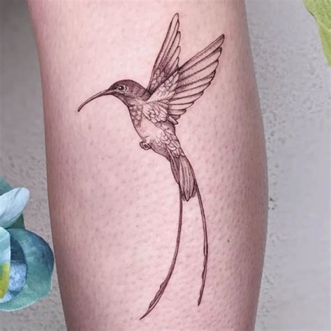 25 Best Hummingbird Tattoo Designs Meaning Tattoogenda Com 25 Best Hummingbird Tattoo Designs Meaning Tattoogenda Com