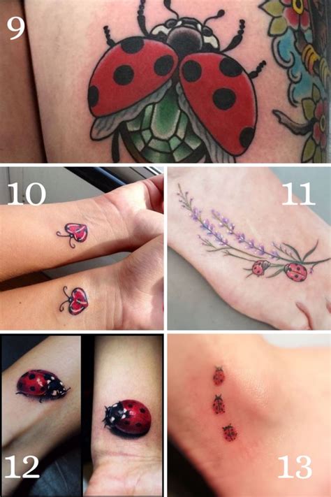 25 Lovely Ladybug Tattoo Ideas For Men Amp Women In 2024 Lady Bug Tattoo Bug Tattoo Tattoos 25 Lovely Ladybug Tattoo Ideas For Men Amp Women In 2024 Lady Bug Tattoo Bug Tattoo Tattoos