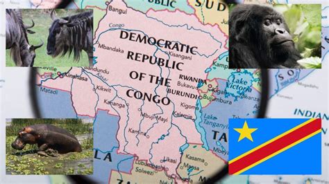 31 Interesting Facts About The Democratic Republic Of Congo The Facts Institute 31 Interesting Facts About The Democratic Republic Of Congo The Facts Institute