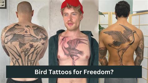 40 Bird Tattoos For Men Represent Power Peace Freedom Men Deserve 40 Bird Tattoos For Men Represent Power Peace Freedom Men Deserve