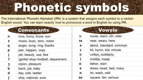 40 Phonetic Symbols With Examples In English Grammarvocab 40 Phonetic Symbols With Examples In English Grammarvocab