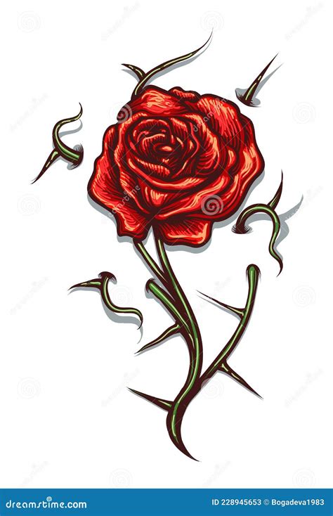 470 Rose With Thorns Tattoo Stock Illustrations Royalty Free Vector Graphics Clip Art Istock 470 Rose With Thorns Tattoo Stock Illustrations Royalty Free Vector Graphics Clip Art Istock