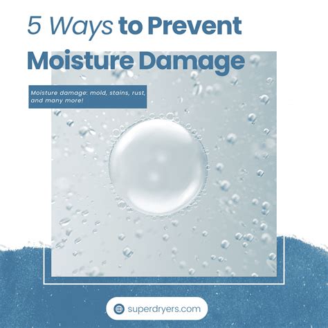 5 Cara Terbaik Untuk Mencegah Kerusakan Akibat Udara Lembab Super Dry