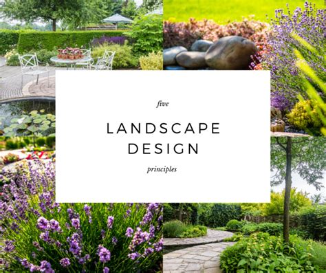 5 Landscape Design Principles To Guide Your Garden Shape And Form 5 Landscape Design Principles To Guide Your Garden Shape And Form