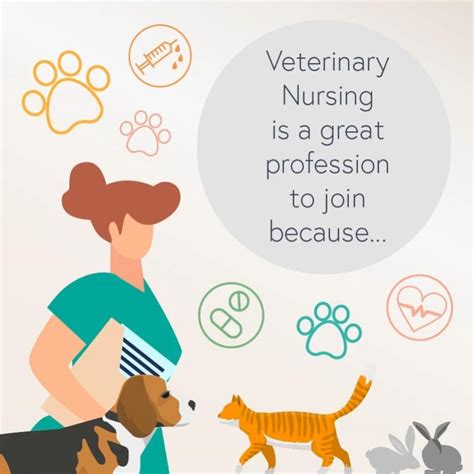 5 Tips For A Career In Veterinary Nursing 5 Tips For A Career In Veterinary Nursing