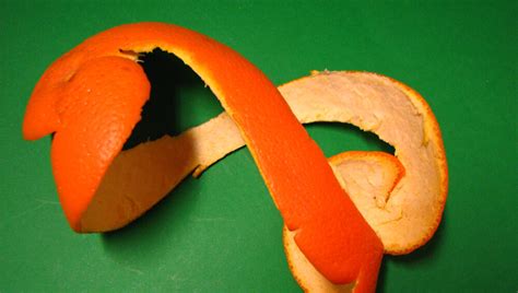 5 Ways Nature Thrives On Our Trash Cracked Com