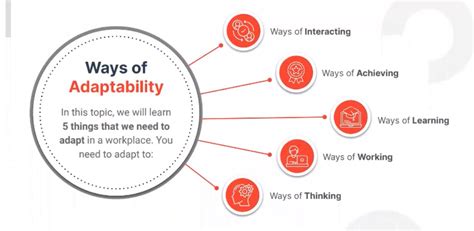 5 Ways Of Adaptability 5 Ways Of Adaptability