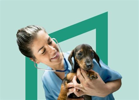 5 Ways To Earn More Money As A Vet Tech Penn Foster 5 Ways To Earn More Money As A Vet Tech Penn Foster
