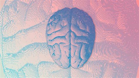 5 Ways To Train Your Brain To Be More Open Minded 5 Ways To Train Your Brain To Be More Open Minded