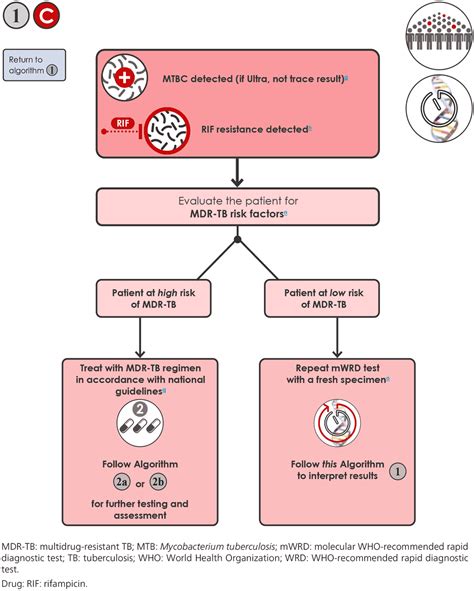 6 3 Algorithm 1 Wrds As Initial Diagnostic Tests For Tb Tb Knowledge Sharing 6 3 Algorithm 1 Wrds As Initial Diagnostic Tests For Tb Tb Knowledge Sharing