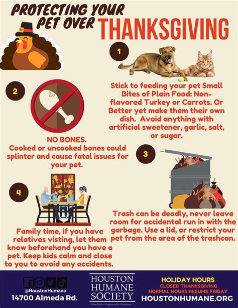 6 Must Know Thanksgiving Pet Safety Tips From Penn Vet University Of Pennsylvania School Of Veterinary Medicine
