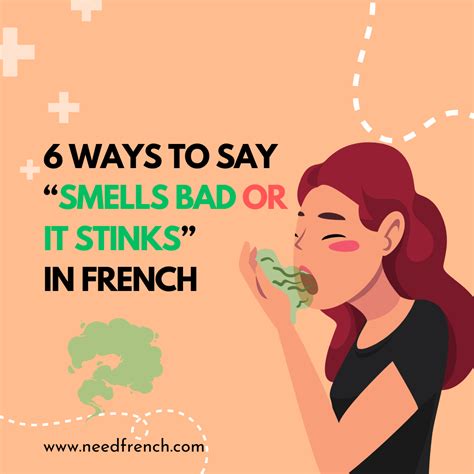 6 Ways To Say Amp Quot It Stinks Amp Quot In French Needfrench 6 Ways To Say Amp Quot It Stinks Amp Quot In French Needfrench