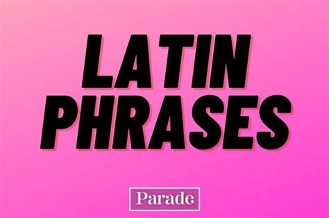 65 Latin Phrases And Sayings With Their Cool Meanings Parade