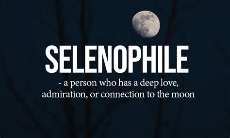 7 Beautiful Words You Ve Probably Never Heard Of With Meanings Lockerz 7 Beautiful Words You Ve Probably Never Heard Of With Meanings Lockerz