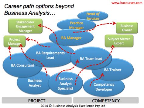 7 Business Analysis Career Path Options And Opportunities For It And Management Professionals Sandhya Jane