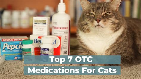 7 Otc Human Medications Safe And Effective For Cats Catgift Shop 7 Otc Human Medications Safe And Effective For Cats Catgift Shop