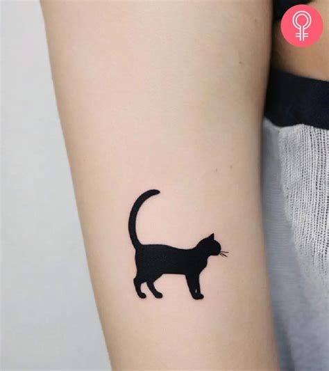 8 Awesome Cat Tattoo Ideas For Men And Women 8 Awesome Cat Tattoo Ideas For Men And Women