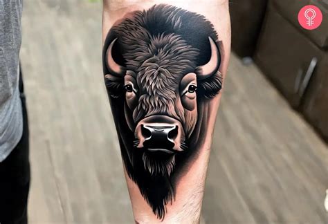 8 Buffalo Tattoo Ideas Buffalo Tattoo Bison Tattoo Tattoos