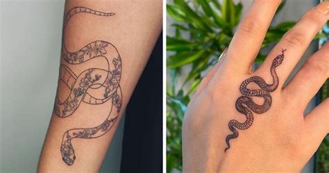 85 Snake Tattoos That May Have You Wrapping Around The Idea Bored Panda 85 Snake Tattoos That May Have You Wrapping Around The Idea Bored Panda
