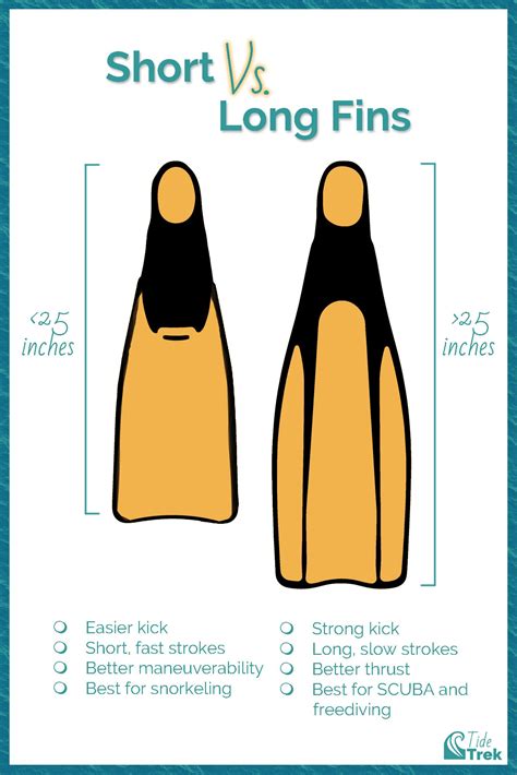 A Beginner S Guide To Swimming Fins Long Vs Short Fins And Their Purpose A Beginner S Guide To Swimming Fins Long Vs Short Fins And Their Purpose