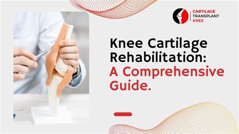 A Comprehensive Knee Drawing Guide King Ice Apps