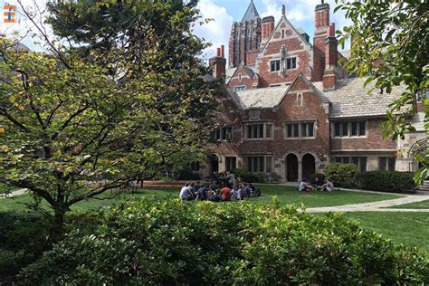 A Guide To Ivy League Schools Future Education Magazine A Guide To Ivy League Schools Future Education Magazine