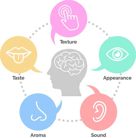 About Smell And Taste Evaluation Center About Smell And Taste Evaluation Center