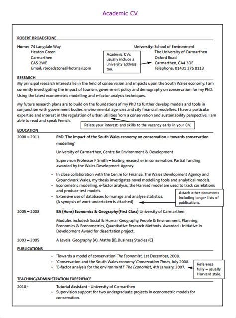 Academic CV Template Example