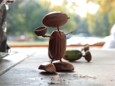 Acorn Alam Hutan Akhir Musim Foto Gratis Di Pixabay Acorn Alam Hutan Akhir Musim Foto Gratis Di Pixabay