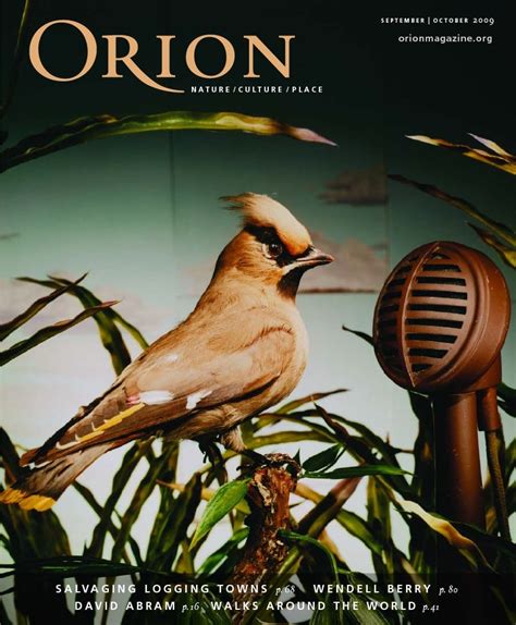 Acorn Bread Orion Magazine Acorn Bread Orion Magazine