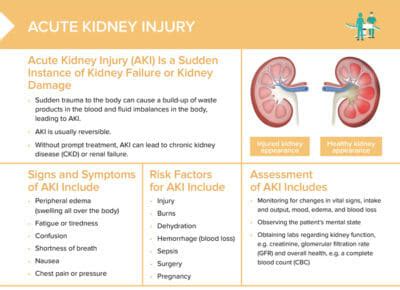 Acute Kidney Injury A Nursing Challenge Acute Kidney Injury A Nursing Challenge