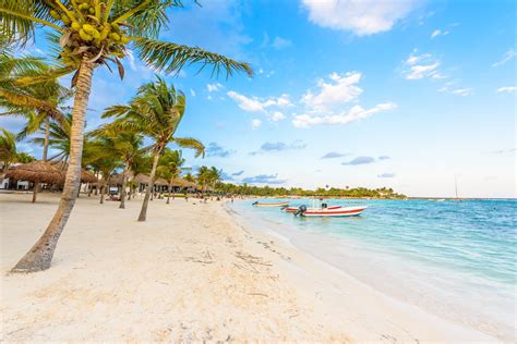 Akumal Beach In Akumal Tours And Activities Expedia Ca Akumal Beach In Akumal Tours And Activities Expedia Ca