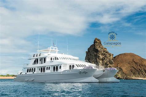 Alya Cruise Ship Galapagos Liveaboard Com Alya Cruise Ship Galapagos Liveaboard Com