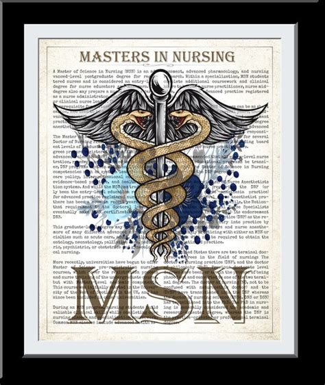 Amazon Com Msn Masters Science Nursing Nurse Graduation 2023 Degree Long Sleeve T Shirt Clothing Shoes Jewelry