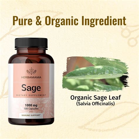 Amazon Com Wild Organic Sage Capsules Brain Digestive Support 1000 Mg Sage Leaves Per Serving 45 Days Of Supply Salvia Officinalis Supplement 90 Vegan Capsules Amazon Com Wild Organic Sage Capsules Brain Digestive Support 1000 Mg Sage Leaves Per Serving 45 Days Of Supply Salvia Officinalis Supplement 90 Vegan Capsules