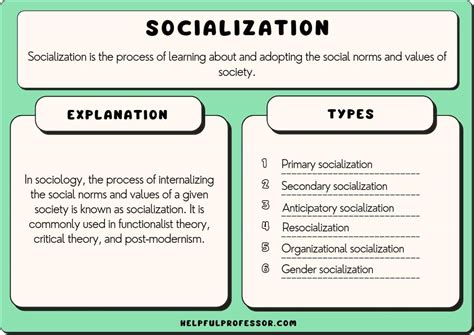 Ambivalence Of Professional Socialization In Social And Educational Professions