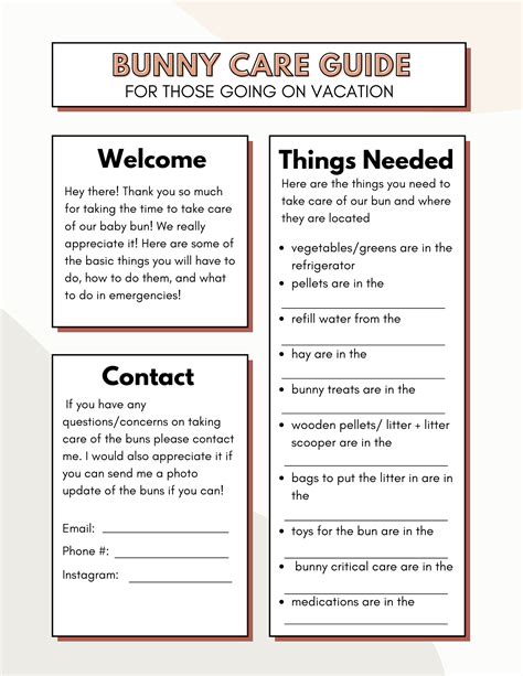 American Bunny Care A Complete Guide