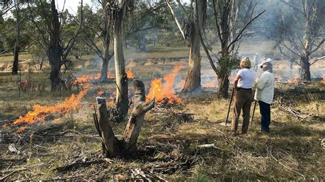 Ancient Technique Of Cultural Burning Revived By Indigenous People In Nsw Abc News