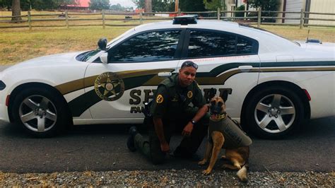 Arkansas Police Officer Fired After Shooting Chihuahua In Video Sheriff Says Fox News Arkansas Police Officer Fired After Shooting Chihuahua In Video Sheriff Says Fox News