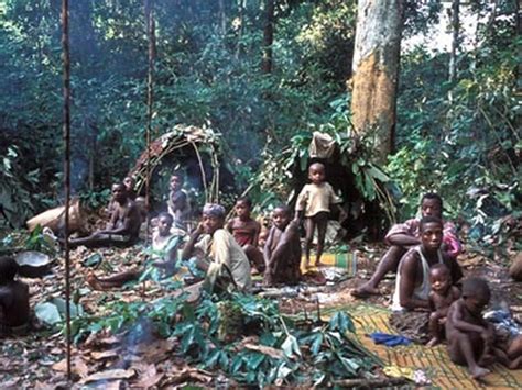 Baka Pygmies Information Baka Pygmies Information