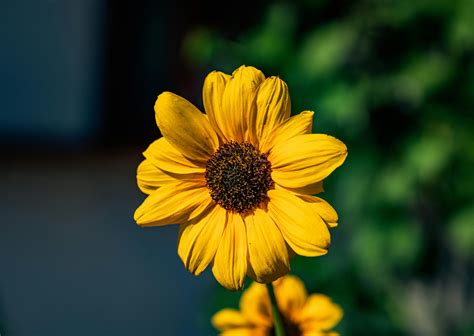 Barnard1871fayette04dbudlong Jpg Barnard1871fayette04dbudlong Jpg