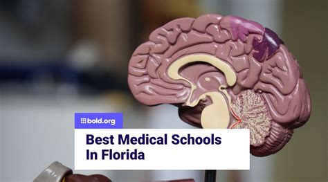 Best 5 Medical Schools In Florida In 2026 Bold Org Best 5 Medical Schools In Florida In 2026 Bold Org