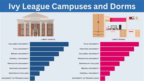 Best Ivy League Schools Rankings Majors Prestige College Reality Check