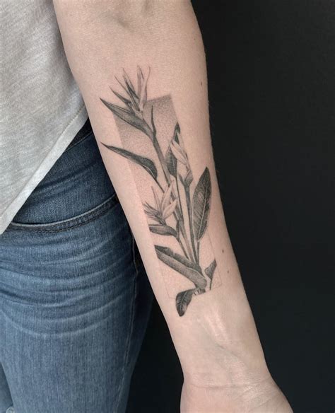 Bird Of Paradise By Jawn Suzuki At All Sacred Tattoo In Denver Co R Tattoos Bird Of Paradise By Jawn Suzuki At All Sacred Tattoo In Denver Co R Tattoos